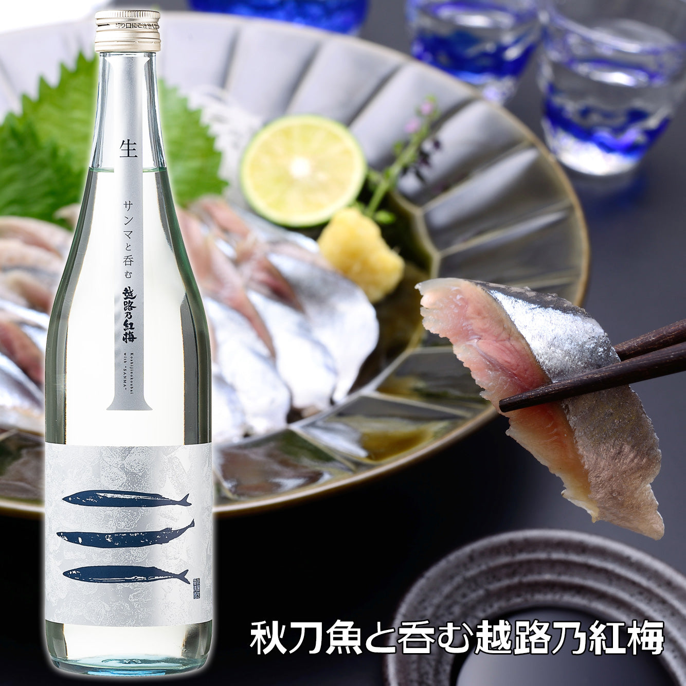 秋刀魚と呑む越路乃紅梅(生)