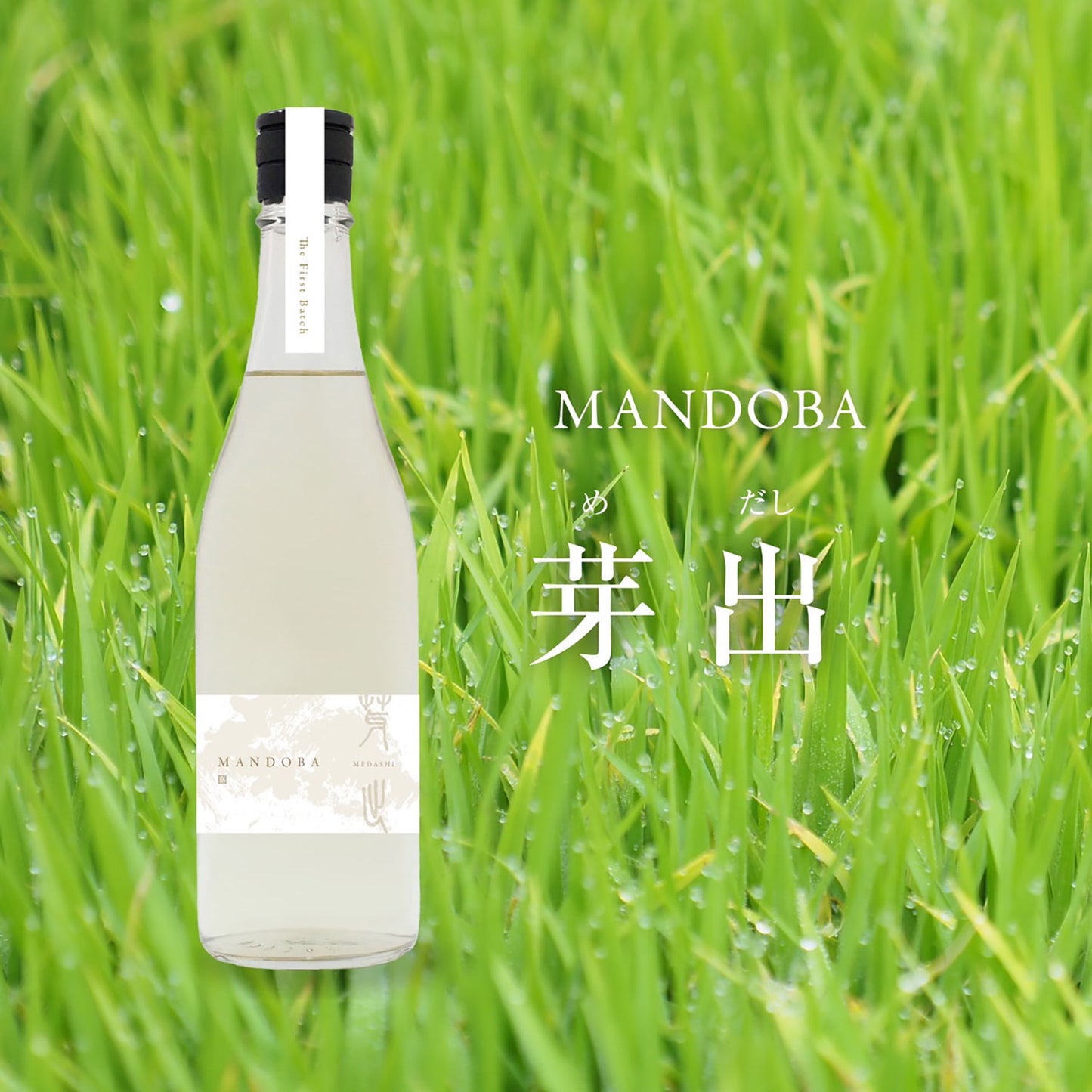 MANDBA（万燈場・マンドバ）　芽出（めだし）　直詰生酒