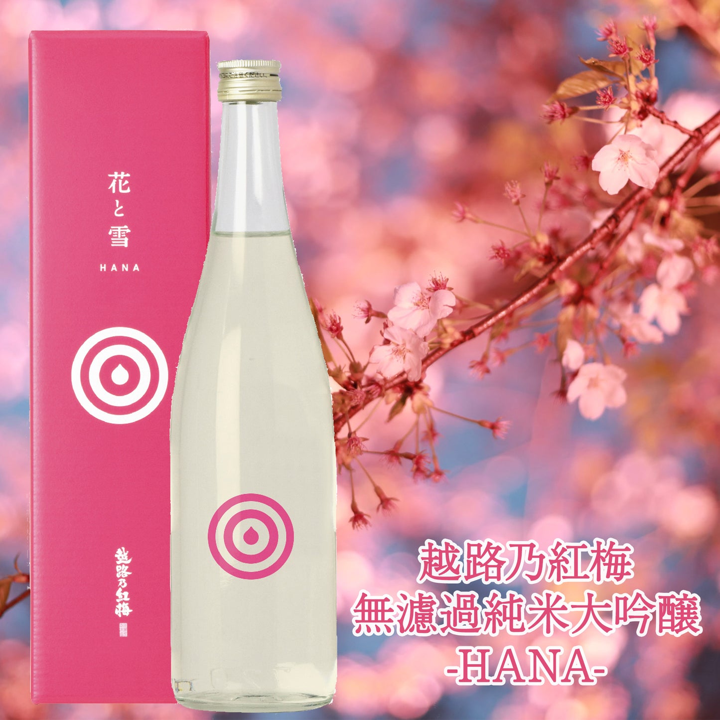 越路乃紅梅 花と雪HANA 純米大吟醸 瓶燗火入