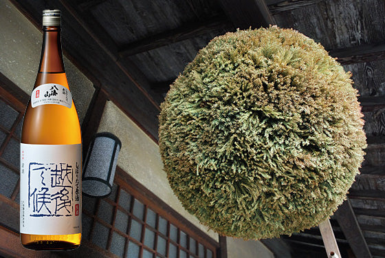 八海山 しぼりたて原酒「越後で候」青越後