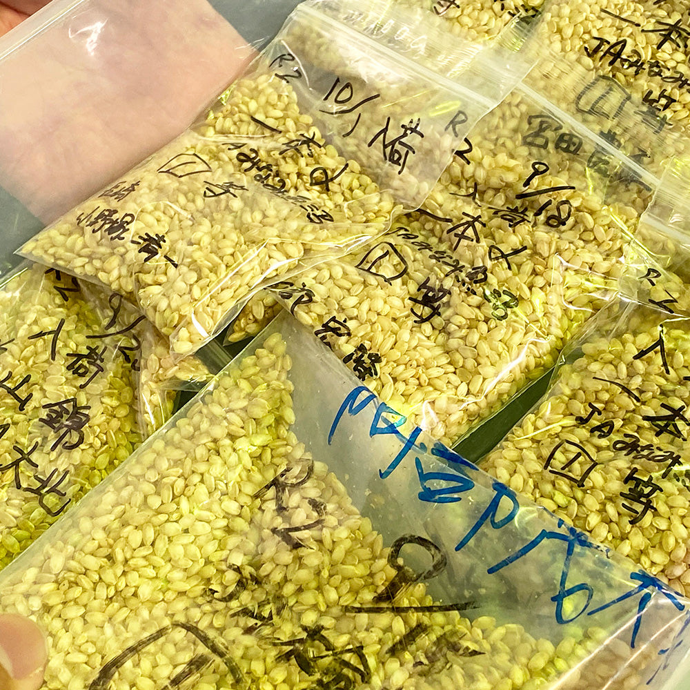 高千代 純米吟醸 一本〆 黄ラベル 生酒(新潟限定)