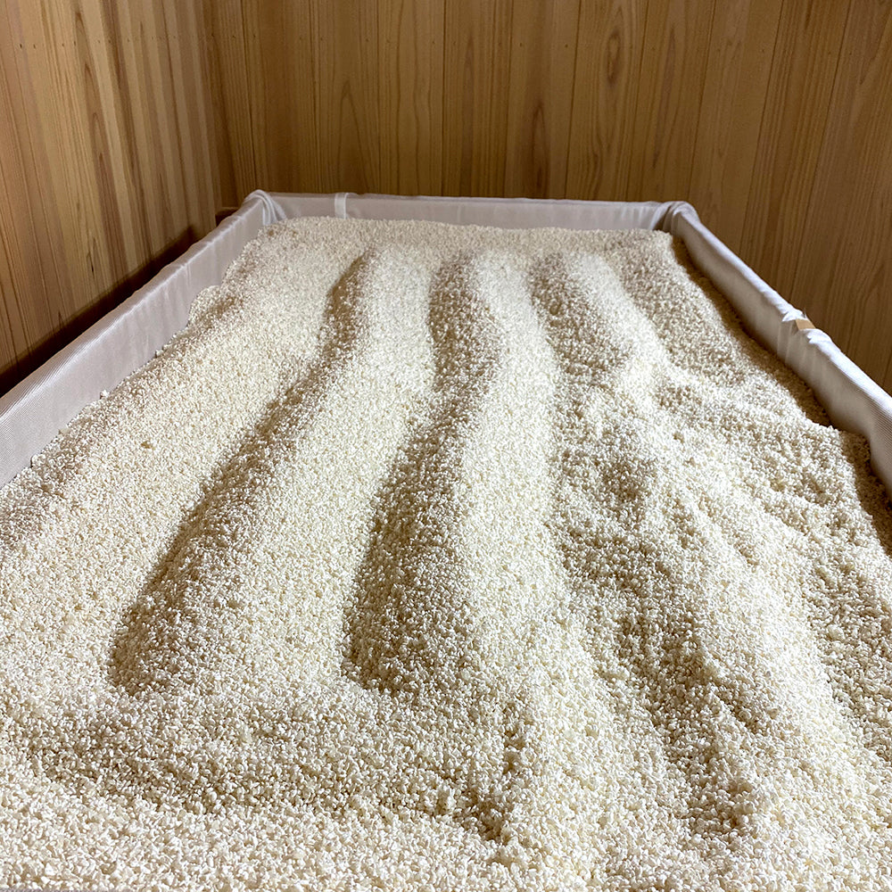 高千代 純米吟醸 一本〆 黄ラベル 生酒(新潟限定)