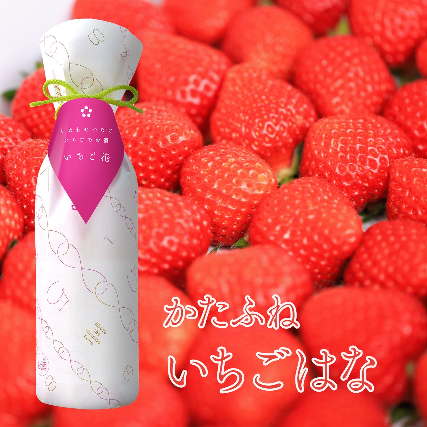 かたふね いちごはな(1587)
