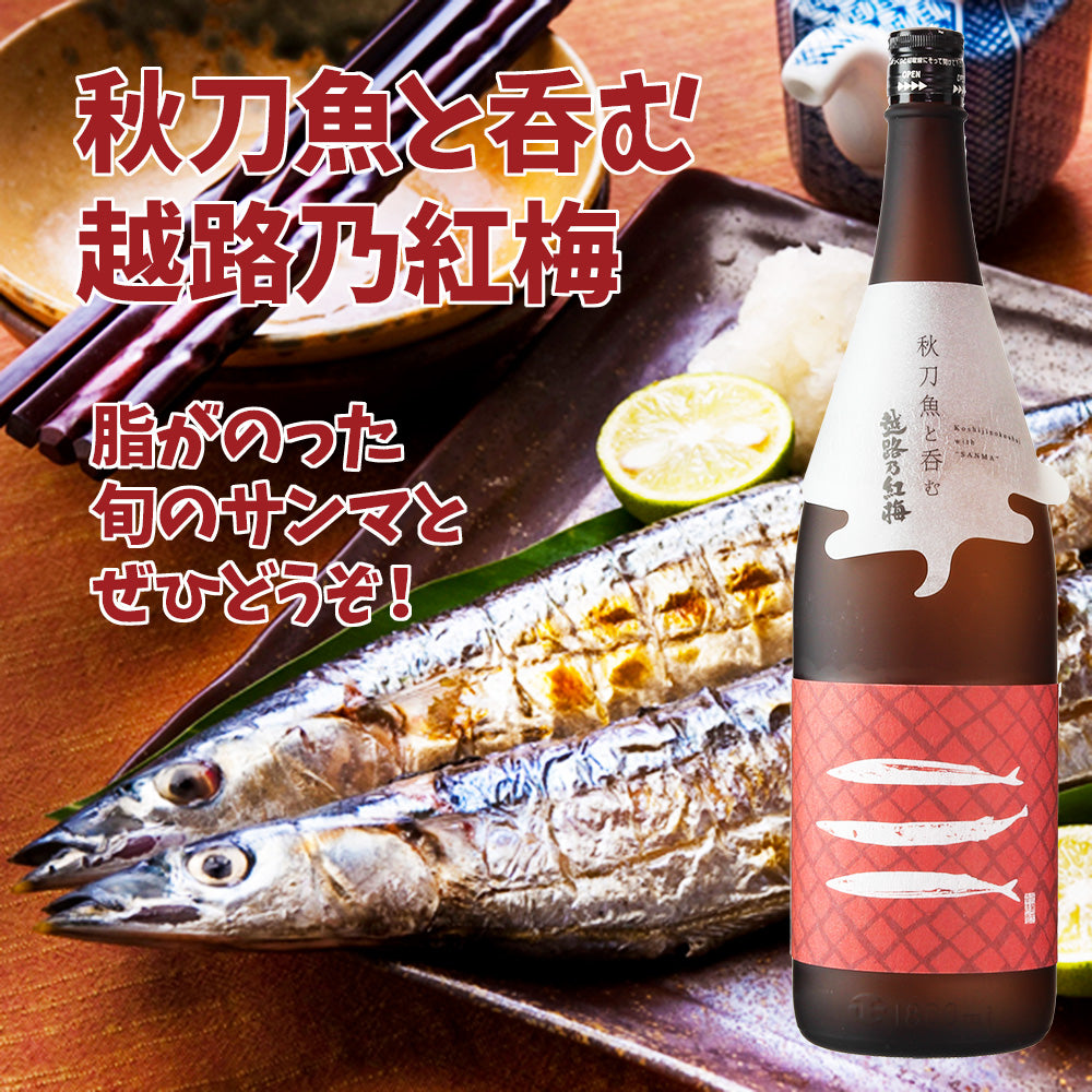 秋刀魚と呑む越路乃紅梅