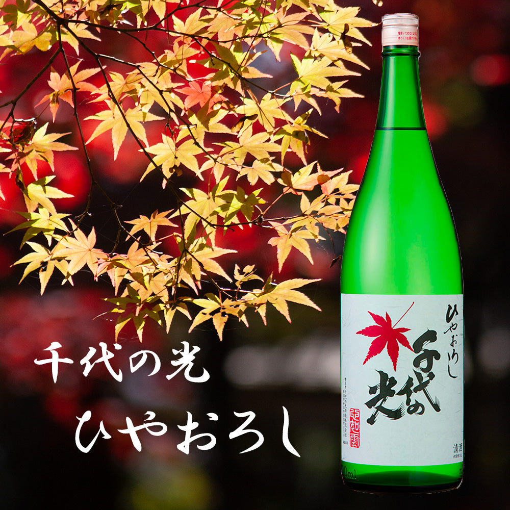 千代の光 ひやおろし 紅葉イメージ