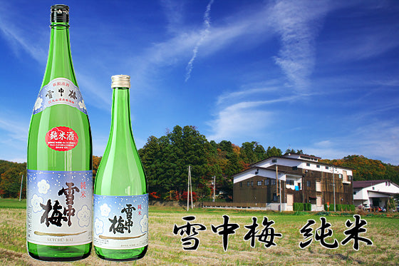 雪中梅 純米