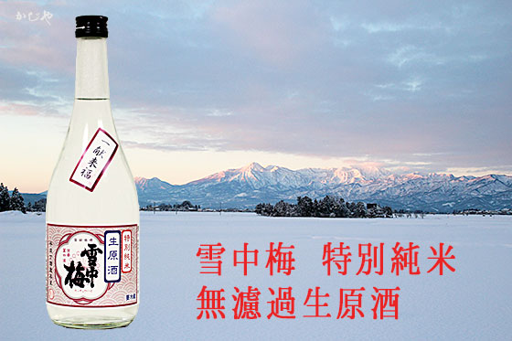 雪中梅 特別純米 生原酒