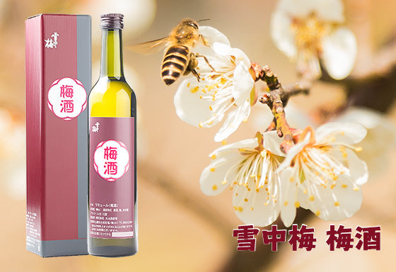 雪中梅 梅酒