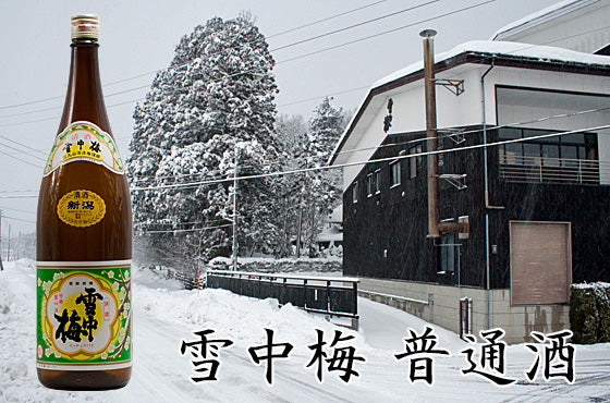 雪中梅 普通酒
