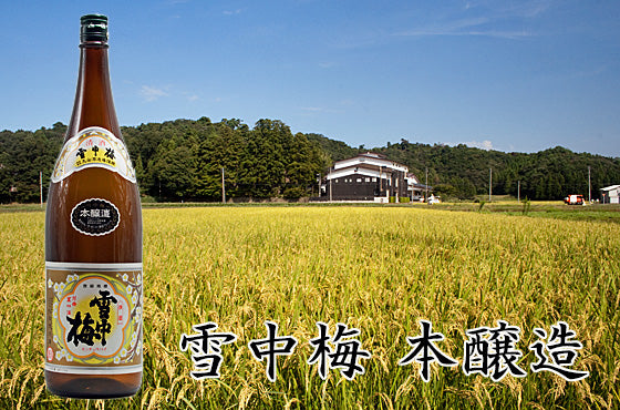 雪中梅 本醸造