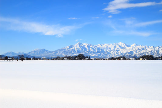 第3回（後編）：【風土・哲学編】雪解け水と情熱が醸す、三蔵の誇り（雪中梅・久保田・八海山）