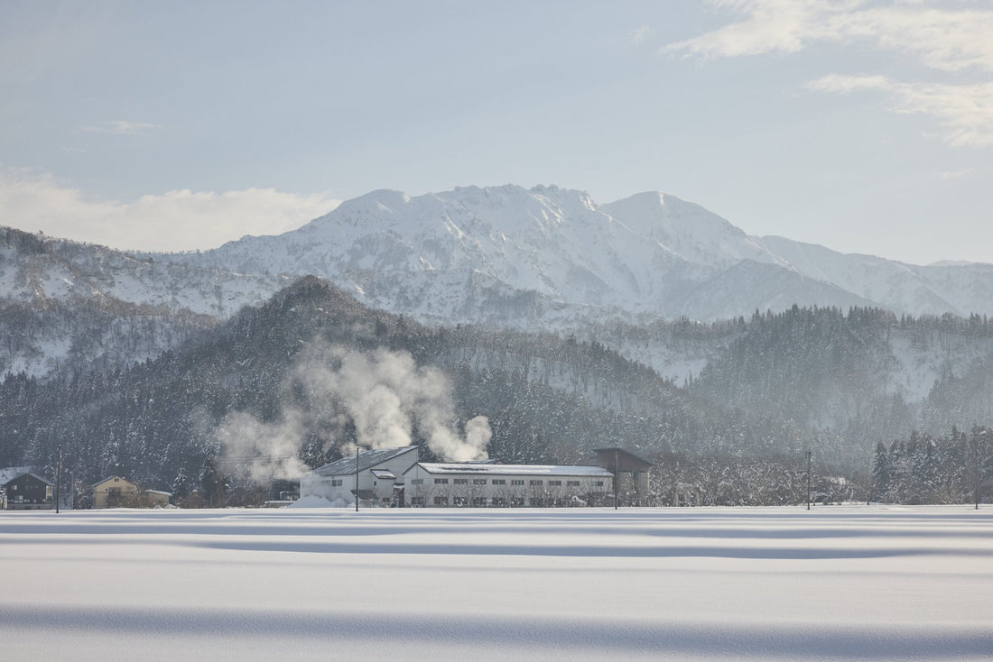 八海山と歩んだ15年。私がこのお酒に惚れ込んだ理由。