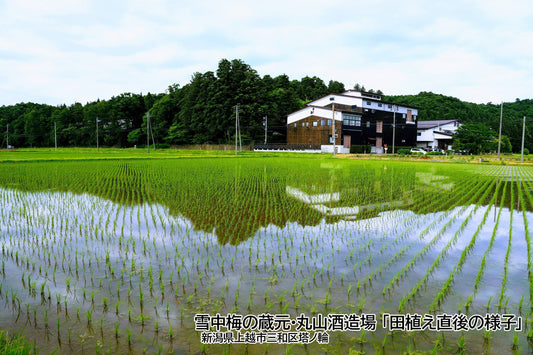 雪中梅の故郷・三和からお届けする「里山のテロワール」と飲み比べの楽しみ