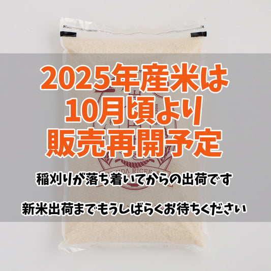 【10月販売再開予定】新潟・岸田米「こしいぶき」5kg
