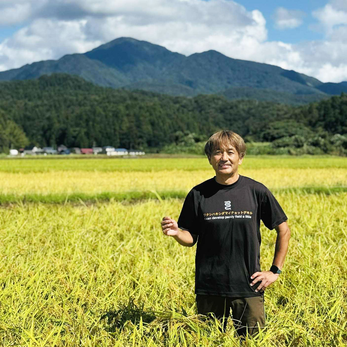 新潟・岸田米　「コシヒカリ」5kg　令和8年産