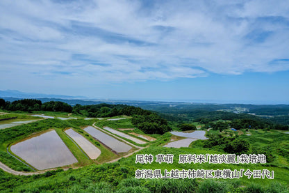 尾神　草萌　原料米　越淡麗　栽培地