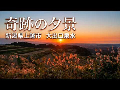尾神　黄葉　（おかみ　こうよう）